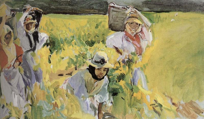 Joaquin Sorolla Sherry grape mining